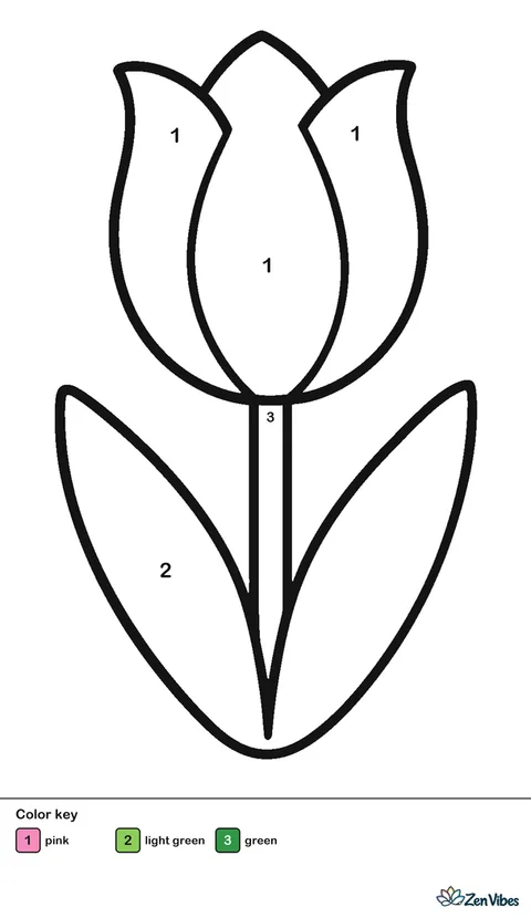 A single pink tulip with a straight green stem and two wide leaves, on plain white