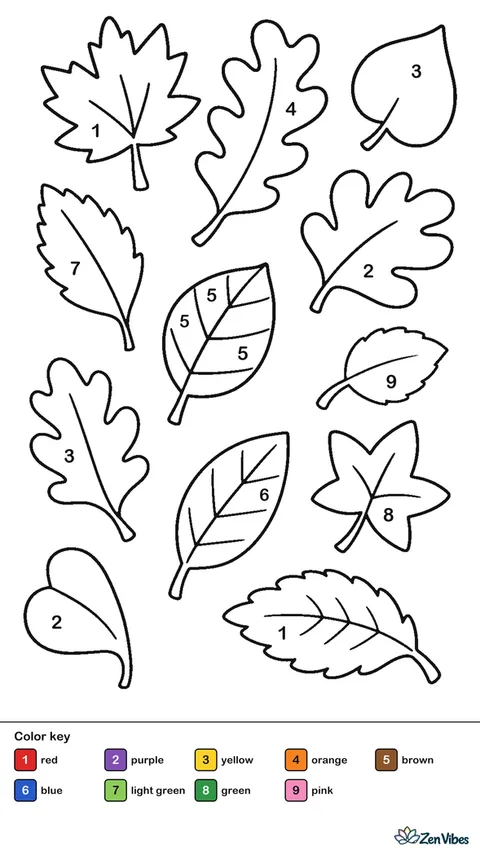 A dozen leaves of different shapes scattered across the page as if falling