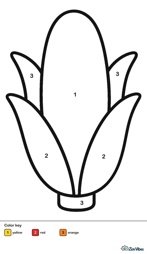 One big ear of corn with husks peeled back, on plain white