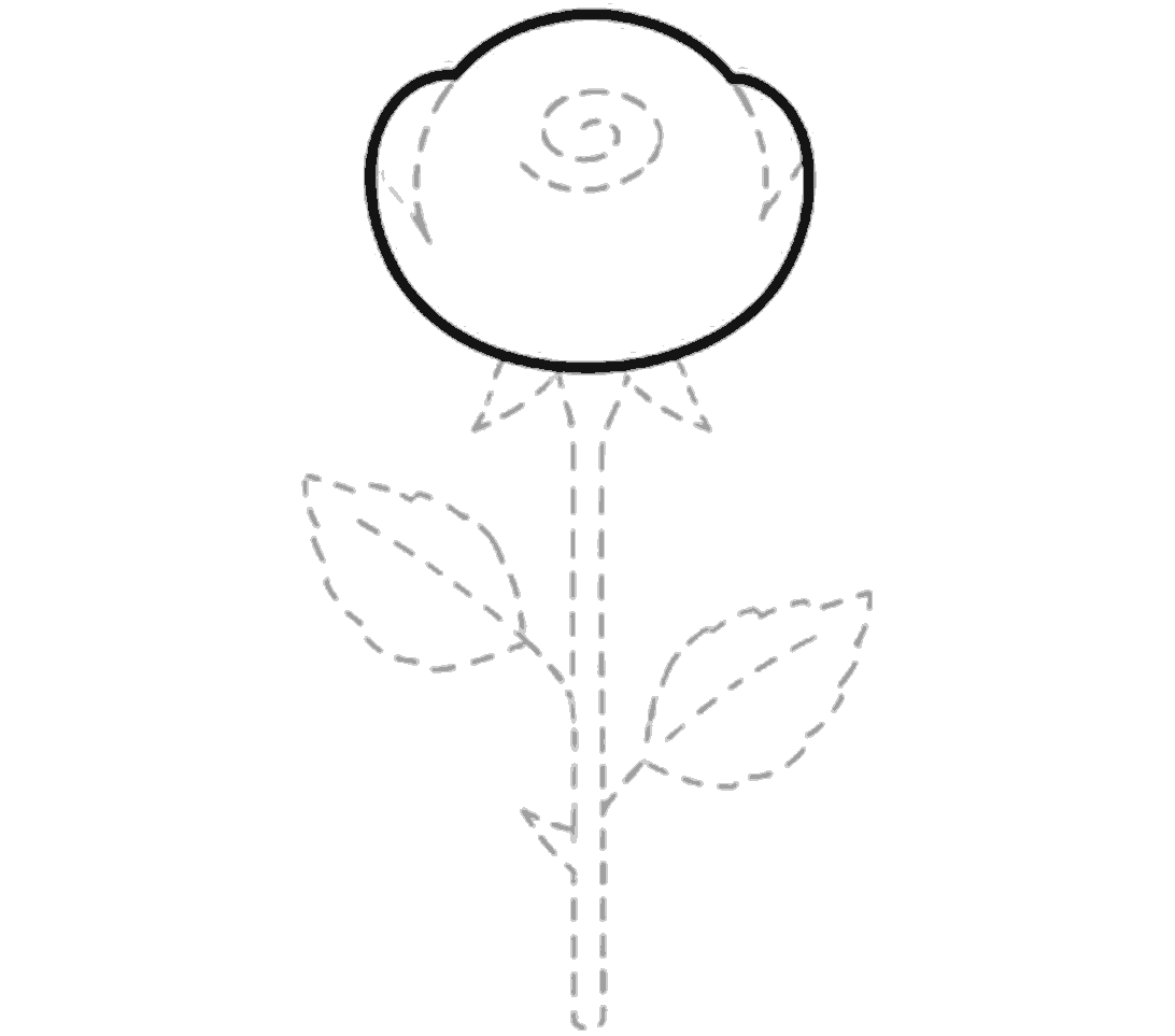 The flower head now has a bold black outer outline, rounded and slightly wider near the top sides, while the rest stays as pale guides.