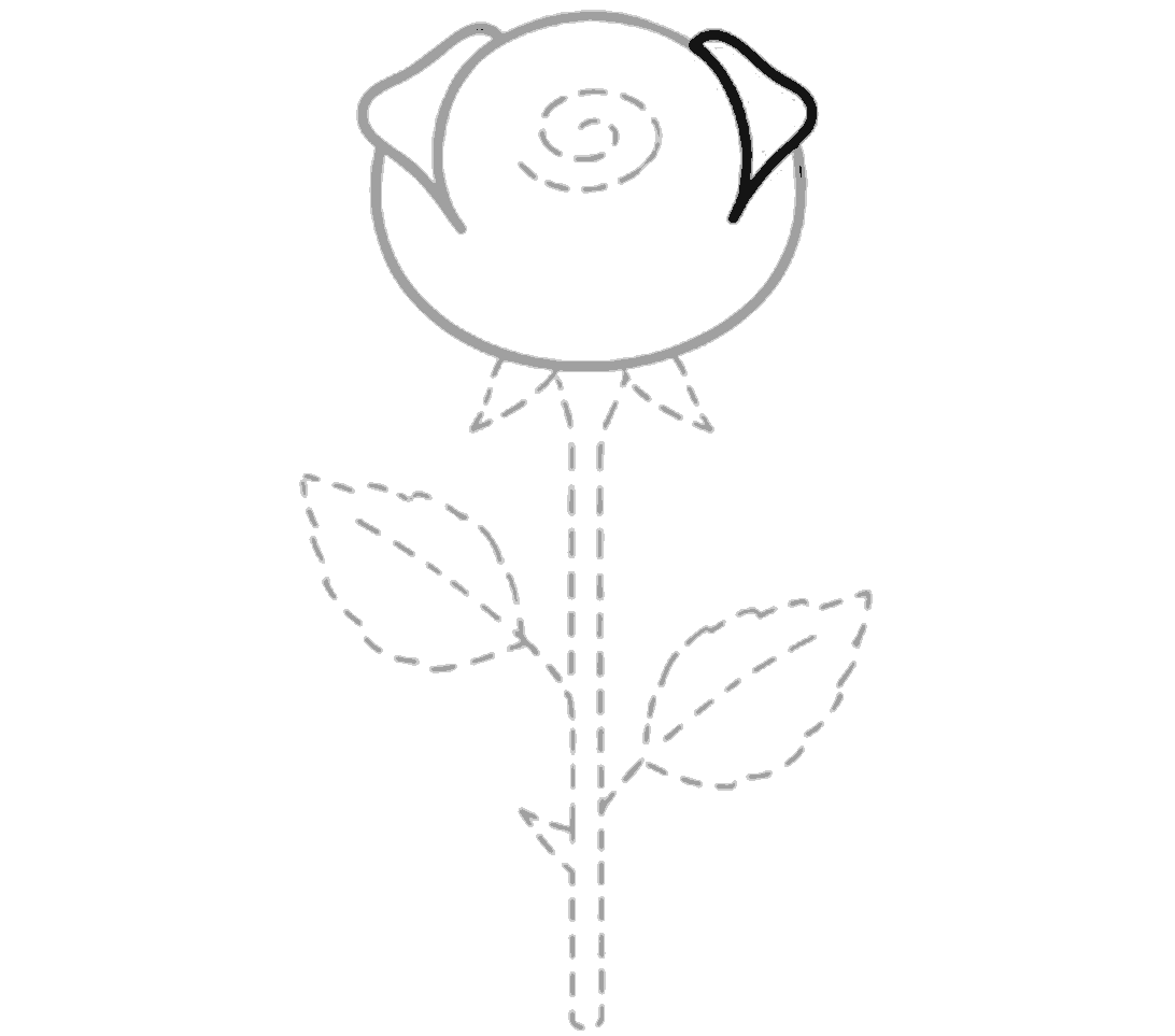 Matching the left side, a black folded petal appears on the upper right with a curved inner line inside the bloom.