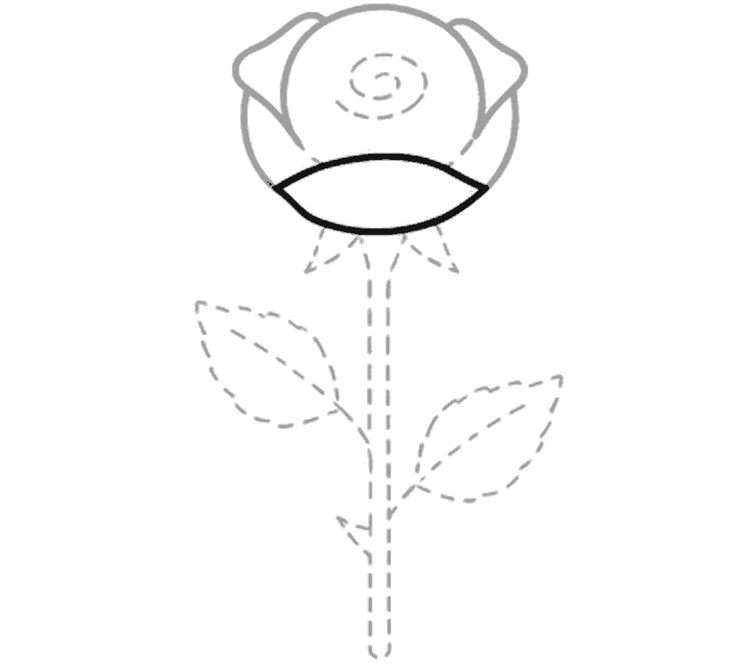 A broad black petal band spans the lower front of the bloom, forming an oval-like petal shape.