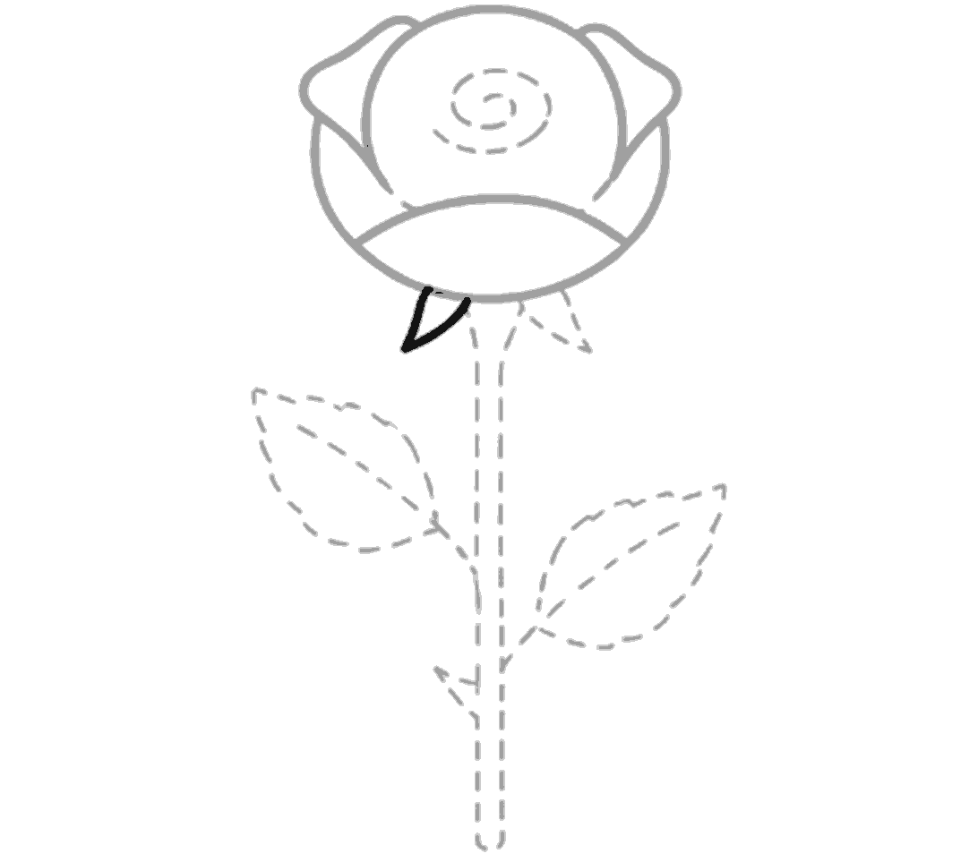A single small pointed sepal is drawn in black under the left side of the flower head.