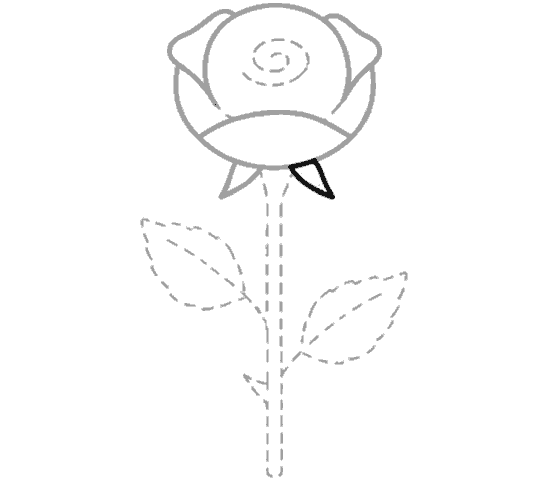 A second small pointed sepal is added under the right side of the bloom, with the middle guide still pale.