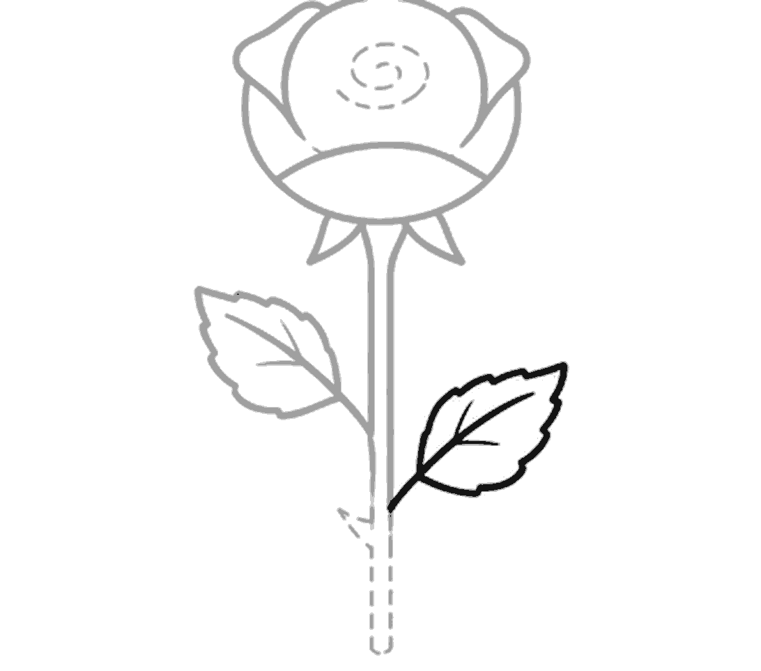 The right leaf is outlined in black with a pointed, toothed edge and a few inner veins.